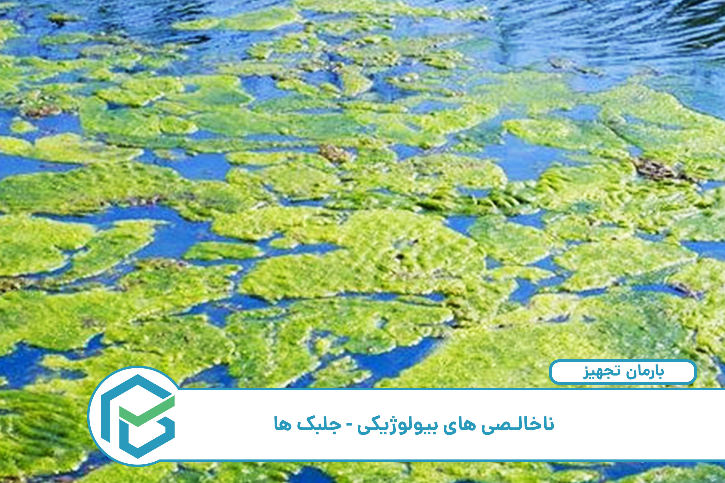 جلبک استخر آبیاری